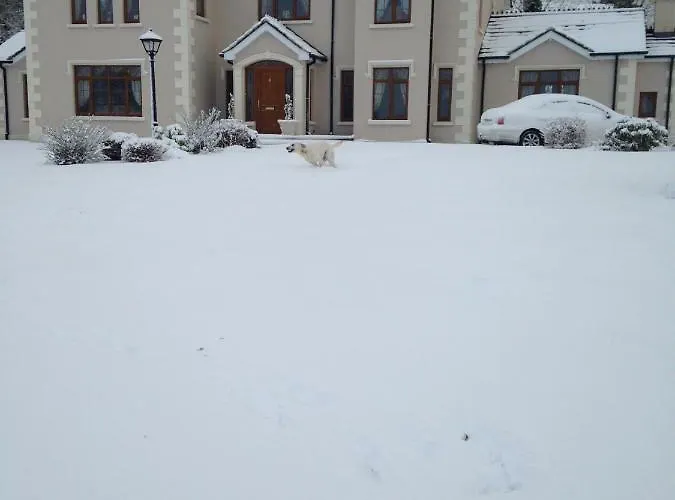 Mayrone House 住宿加早餐酒店